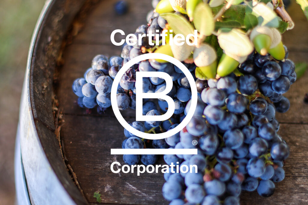 Montlobre B Corp